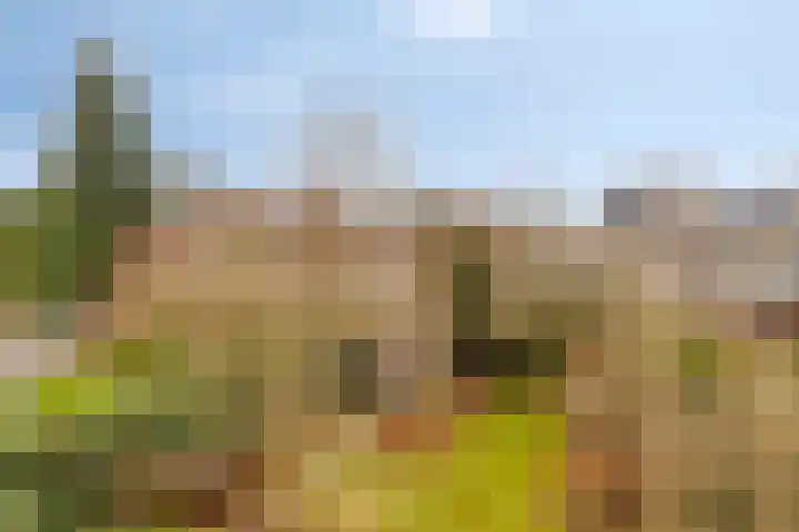 Beverodelaan 18 Dieren thumbnail 22