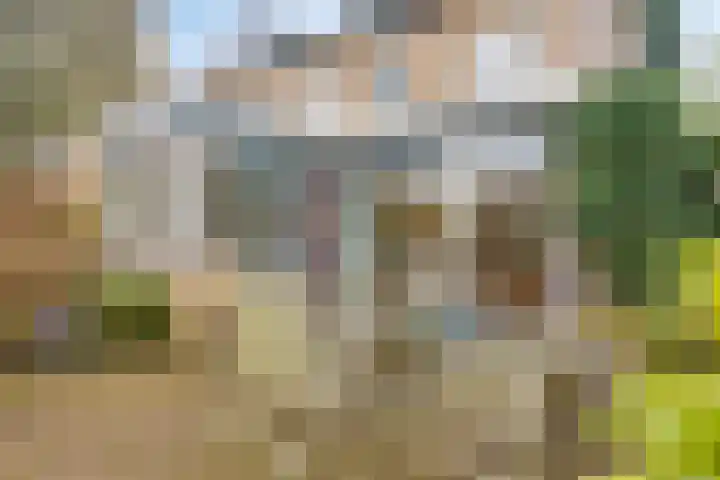 Beverodelaan 18 Dieren thumbnail 32