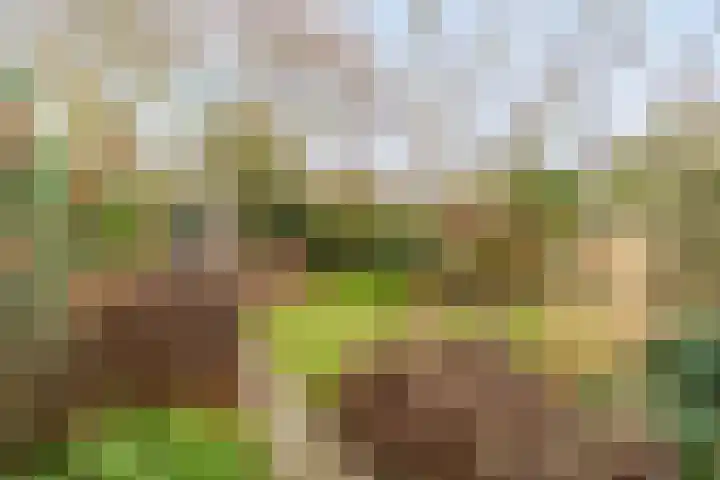 Beverodelaan 18 Dieren thumbnail 33