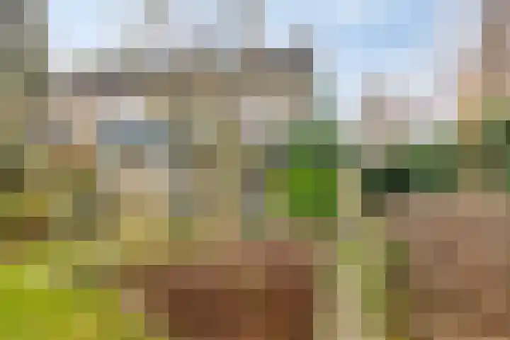 Beverodelaan 18 Dieren thumbnail 36