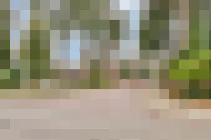 Beverodelaan 18 Dieren thumbnail 37