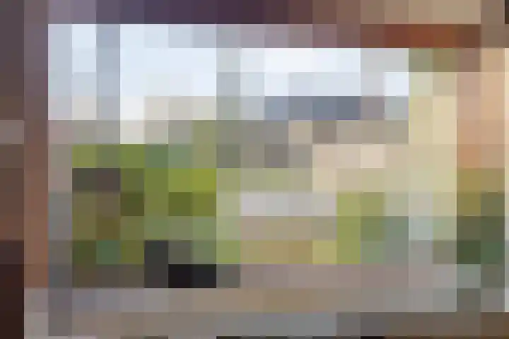 Beverodelaan 18 Dieren thumbnail 9