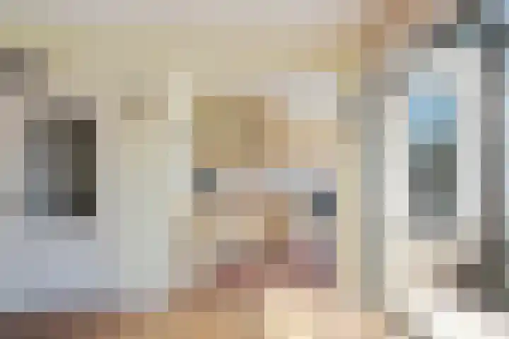 Beverodelaan 30 Dieren thumbnail 11