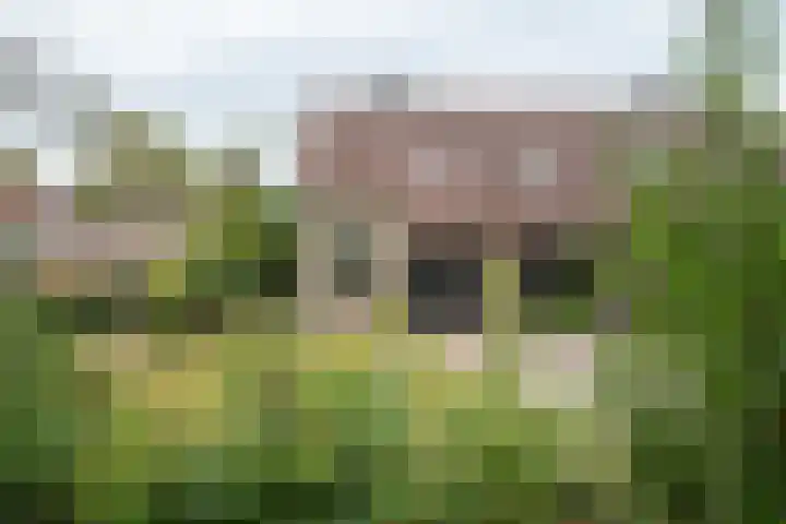 Beverodelaan 30 Dieren thumbnail 13