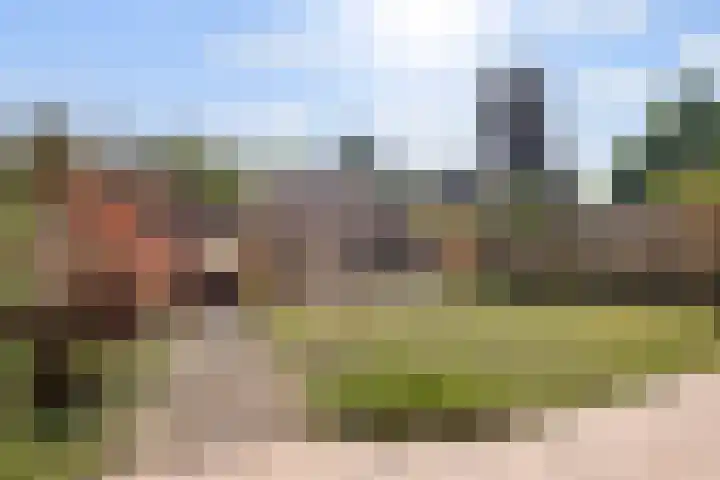 Beverodelaan 30 Dieren thumbnail 14