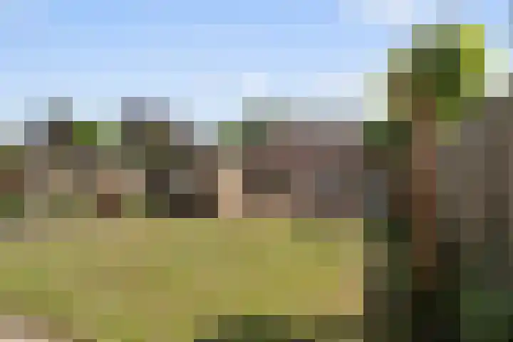 Beverodelaan 30 Dieren thumbnail 15