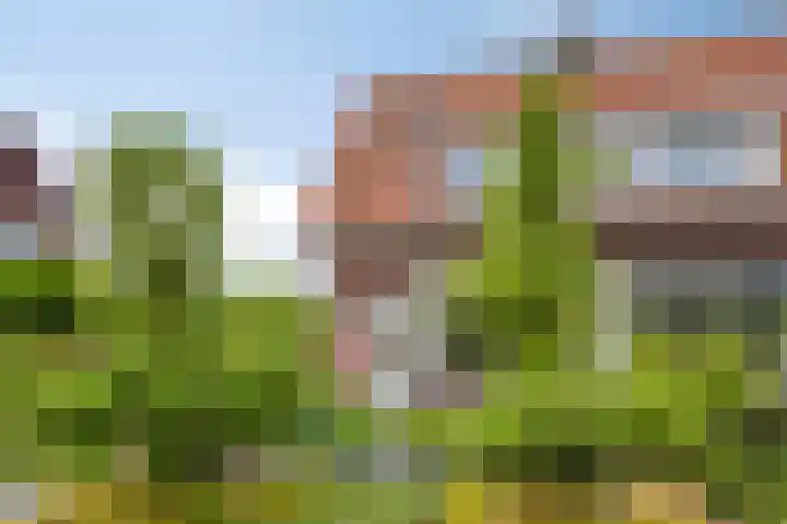 Beverodelaan 30 Dieren thumbnail 26