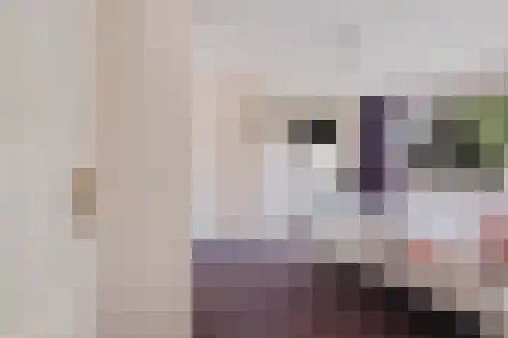 Beverodelaan 30 Dieren thumbnail 29