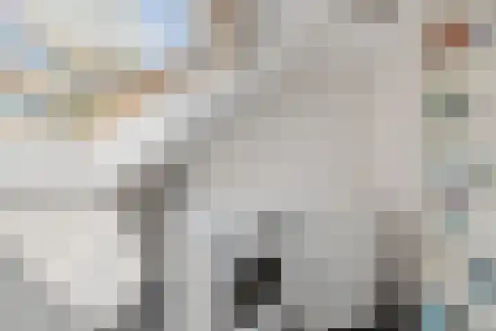 Beverodelaan 30 Dieren thumbnail 44