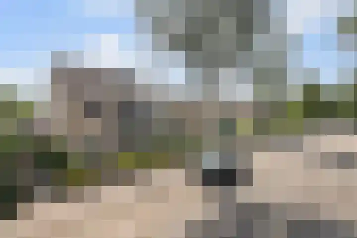 Beverodelaan 30 Dieren thumbnail 48