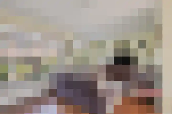 Beverodelaan 30 Dieren thumbnail 7