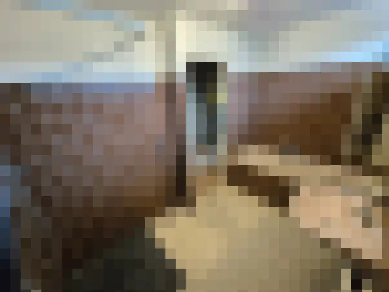 Bevershoekstraat 65 's-Gravendeel thumbnail 22
