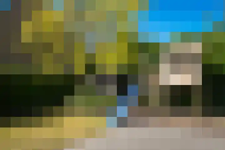 Bevershoeve 11 Berlicum thumbnail 43