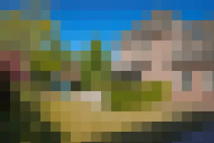 Bevershoeve 11 Berlicum thumbnail 47