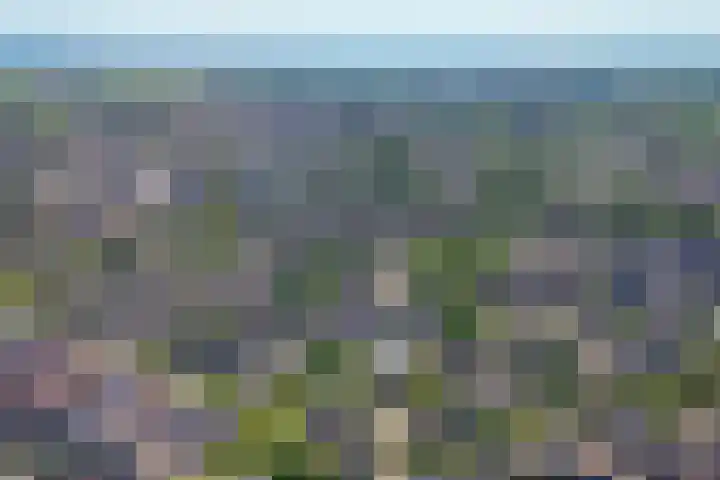 Bevershoeve 11 Berlicum thumbnail 65