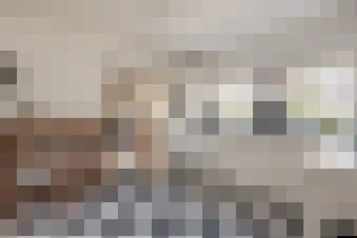 Bevershoeve 2 Berlicum thumbnail 10