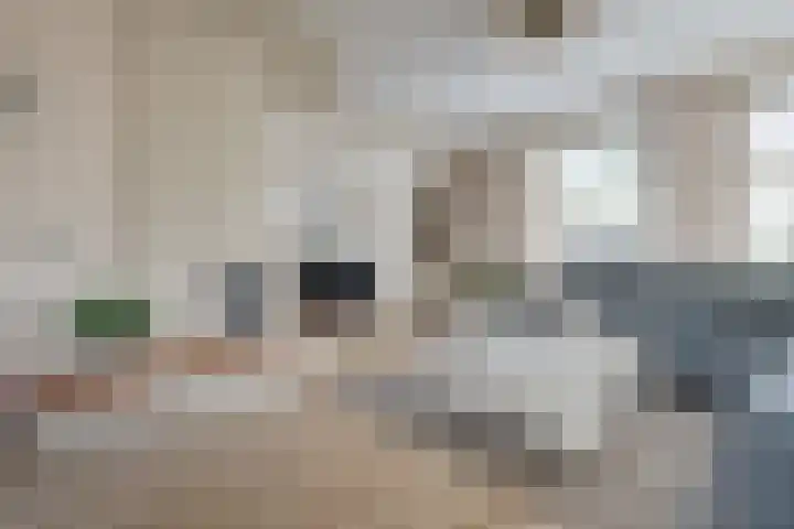 Bevershoeve 2 Berlicum thumbnail 13