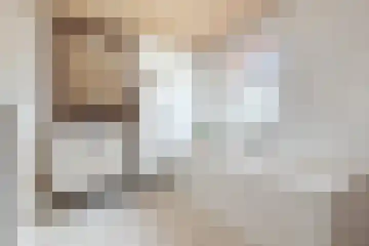 Bevershoeve 2 Berlicum thumbnail 26