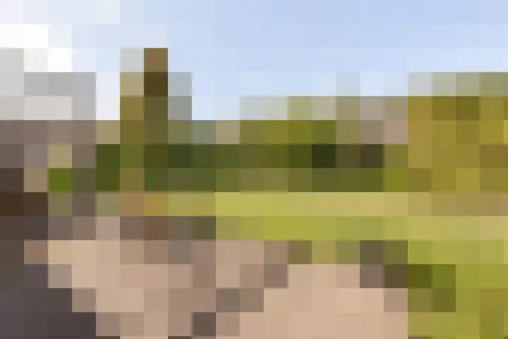 Bevershoeve 2 Berlicum thumbnail 35