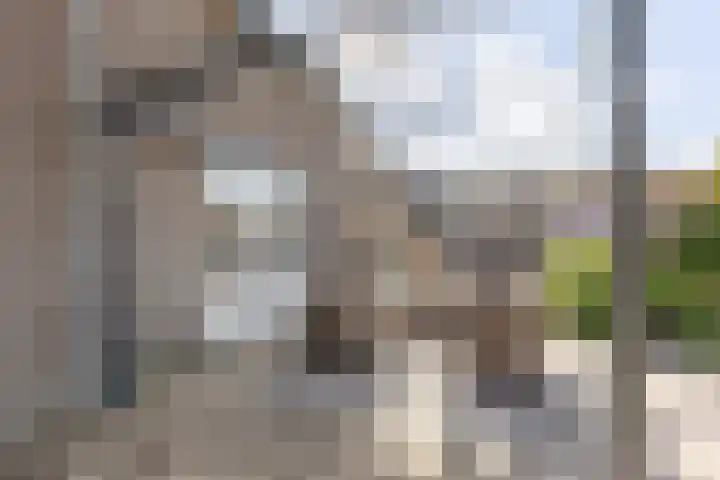 Bevershoeve 2 Berlicum thumbnail 37