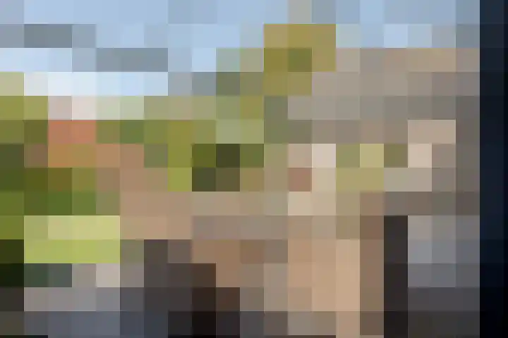 Bevershoeve 2 Berlicum thumbnail 38