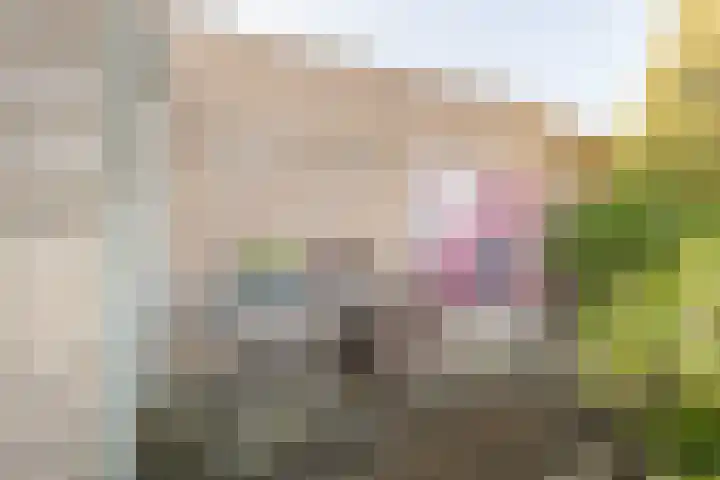 Bevershoeve 2 Berlicum thumbnail 39