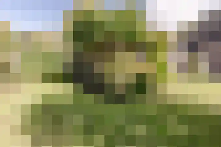 Bevershoeve 2 Berlicum thumbnail 41