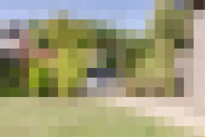 Bevershoeve 2 Berlicum thumbnail 42