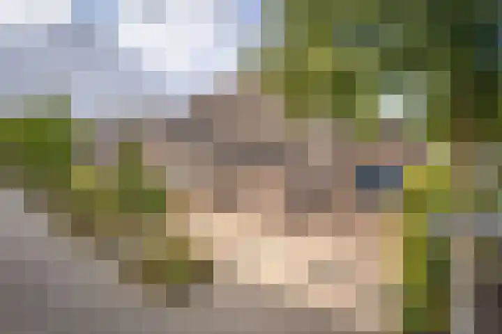 Bevershoeve 2 Berlicum thumbnail 44