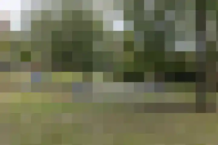 Bevershoeve 2 Berlicum thumbnail 46