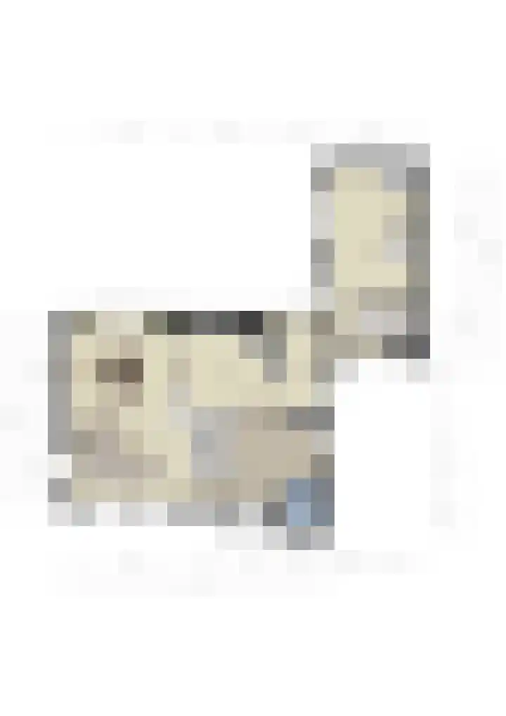 Bevershoeve 2 Berlicum thumbnail 48