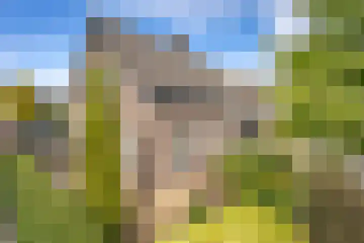 Bevershoeve 2 Berlicum thumbnail 5