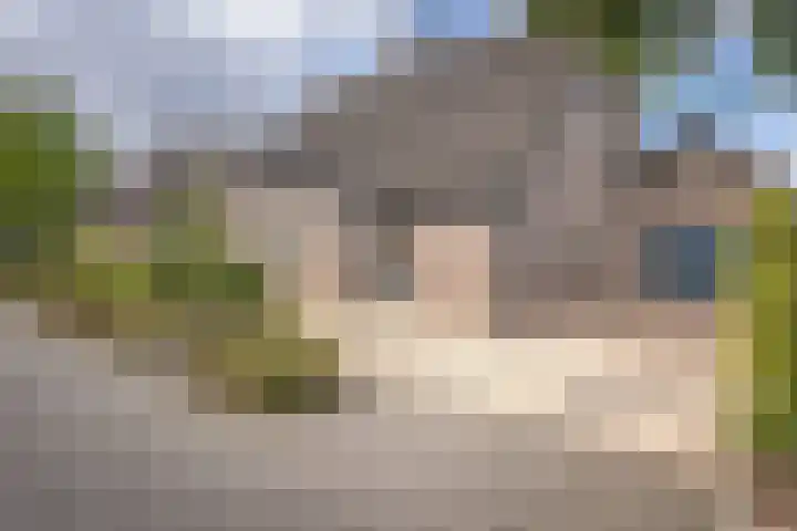 Bevershoeve 2 Berlicum thumbnail 6