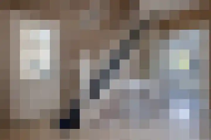 Bevershoeve 2 Berlicum thumbnail 7