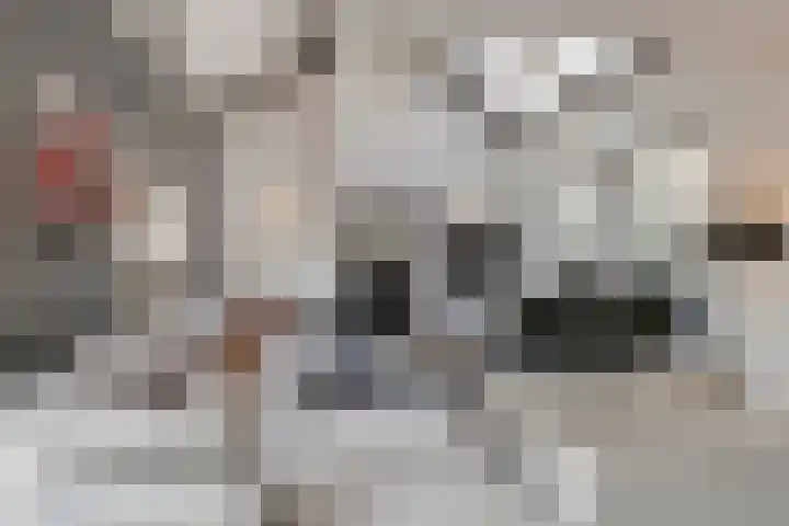 Beversingel 10 Culemborg thumbnail 11
