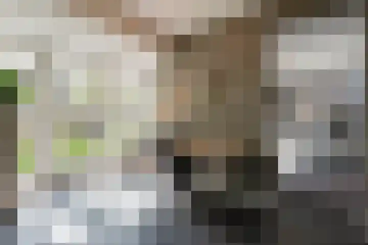 Beversingel 10 Culemborg thumbnail 16