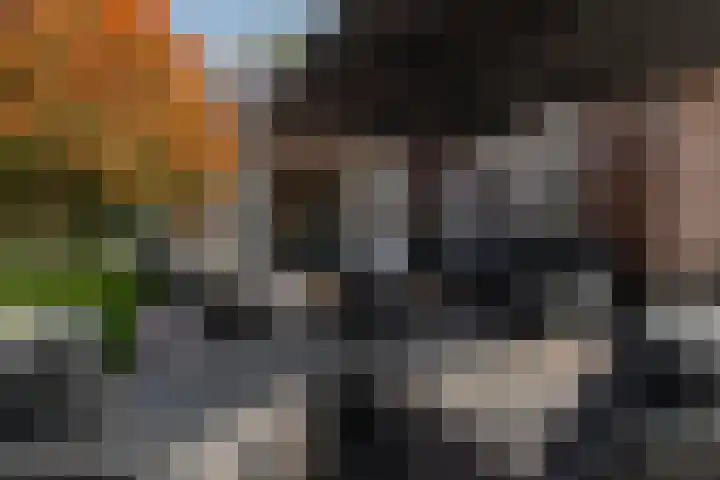 Beversingel 10 Culemborg thumbnail 32