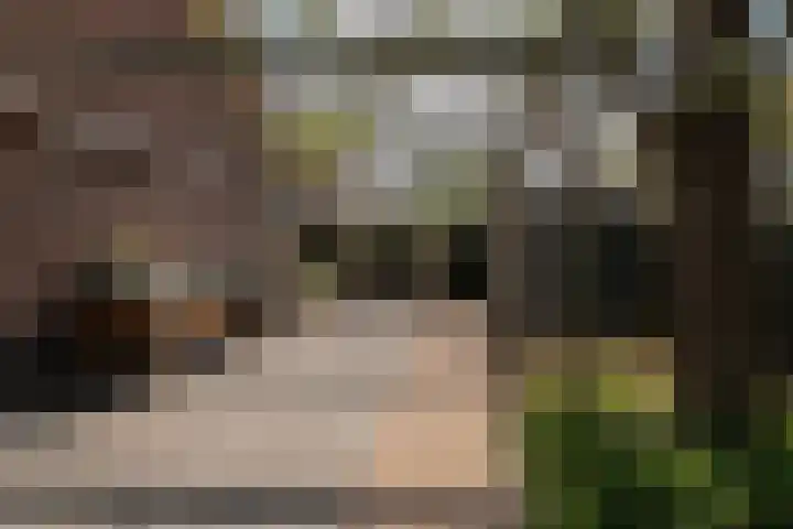 Beversingel 10 Culemborg thumbnail 34