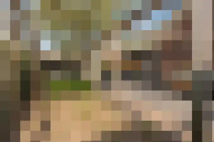 Beversingel 10 Culemborg thumbnail 37