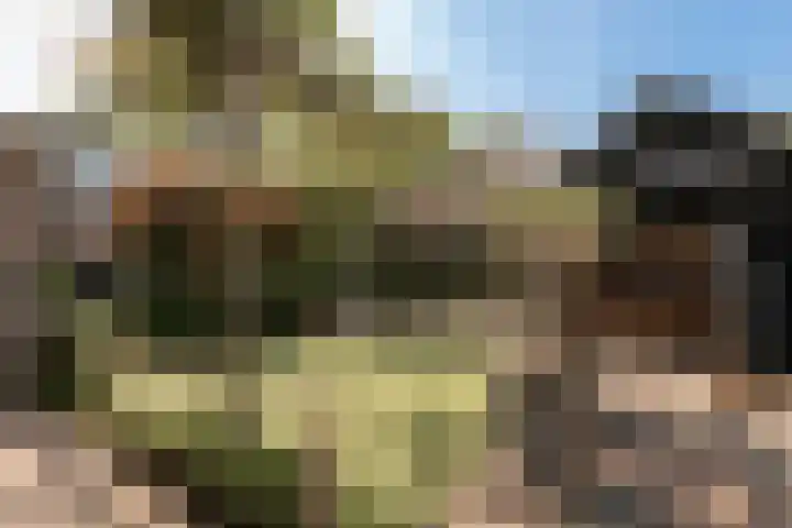 Beversingel 10 Culemborg thumbnail 45