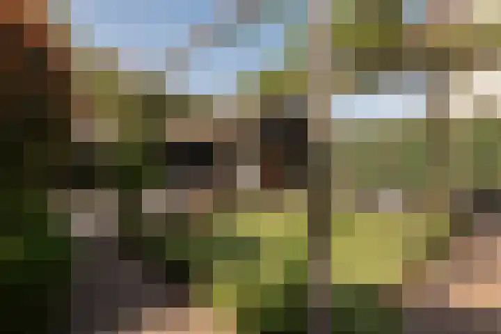 Beversingel 10 Culemborg thumbnail 46