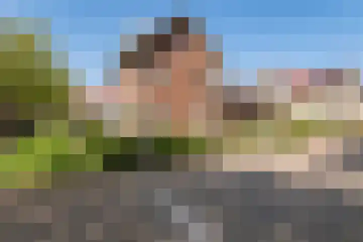 Beversingel 10 Culemborg thumbnail 5