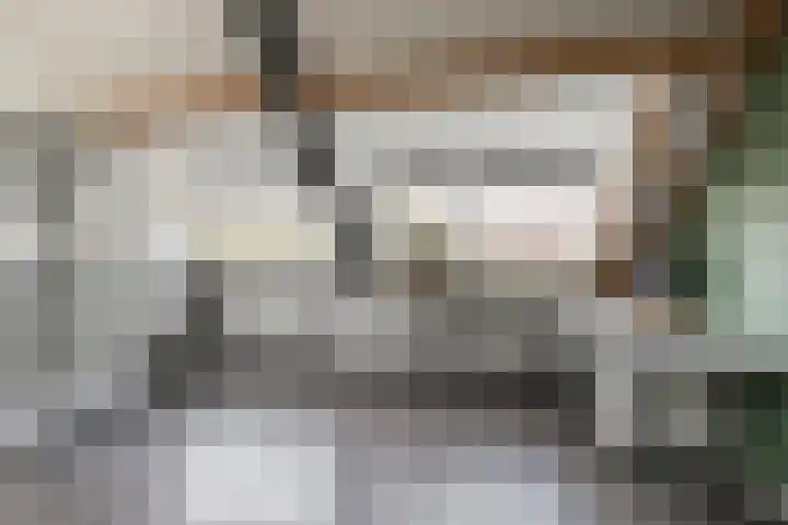 Beversingel 10 Culemborg thumbnail 61