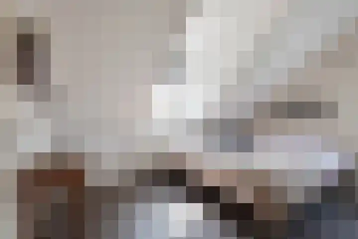 Beversingel 10 Culemborg thumbnail 68