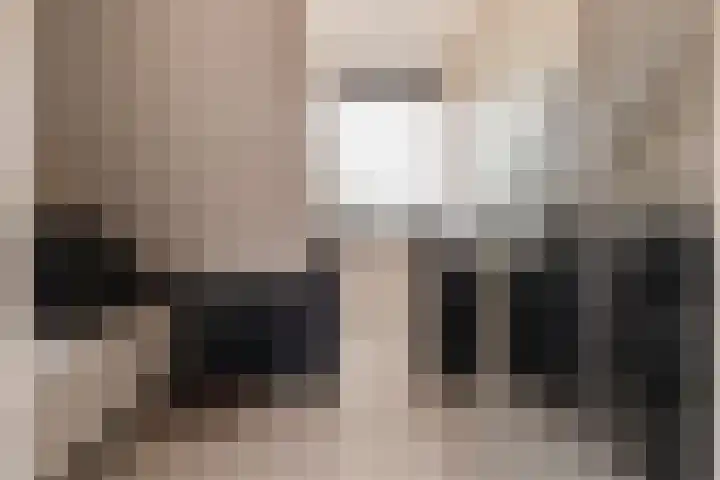 Beversingel 10 Culemborg thumbnail 69