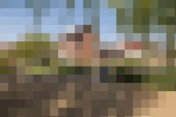 Beversingel 10 Culemborg thumbnail 76