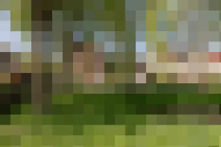 Beversingel 10 Culemborg thumbnail 78