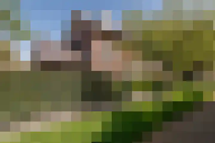 Beversingel 10 Culemborg thumbnail 81