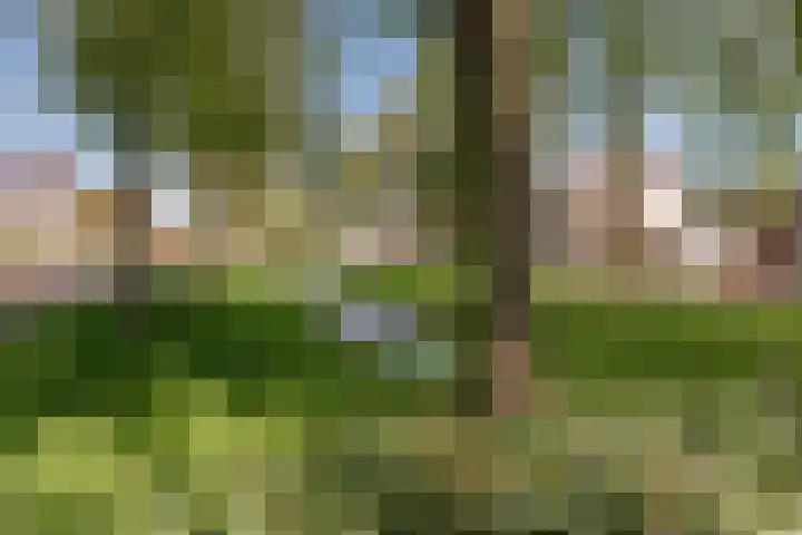 Beversingel 10 Culemborg thumbnail 85