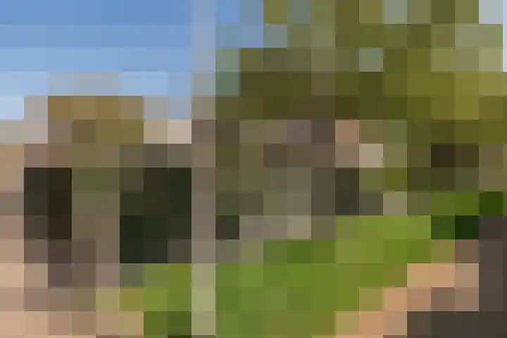 Beversingel 10 Culemborg thumbnail 86